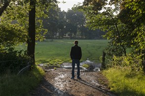 Man seen from behind standing among trees and looking out over the meadows.