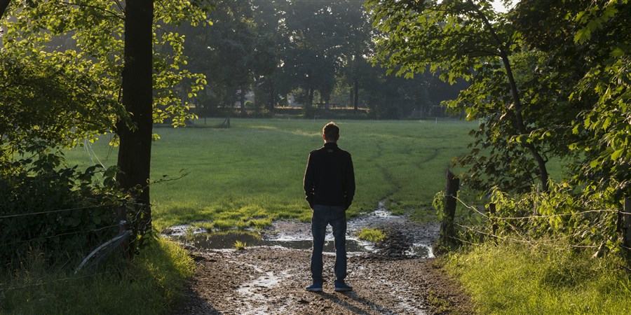 Man seen from behind standing among trees and looking out over the meadows.